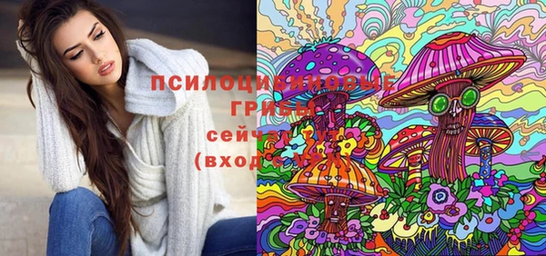 a pvp Алексин