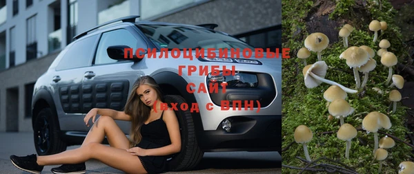 a pvp Алексин