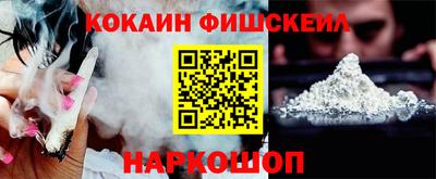СК Гатчина