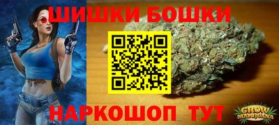 СК Гатчина