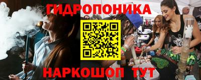 СК Гатчина