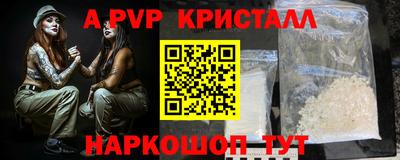 СК Гатчина