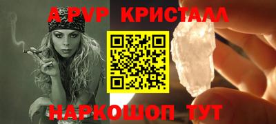 СК Гатчина