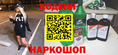СК Гатчина