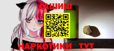СК Гатчина
