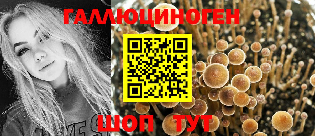 Псилоцибиновые грибы Psilocybine cubensis  Вход с VPN  Людиново  Галлюциногенные грибы мухоморы 