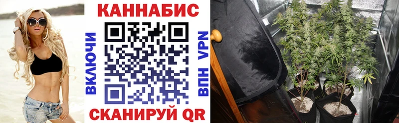 Бошки марихуана VHQ  Людиново 